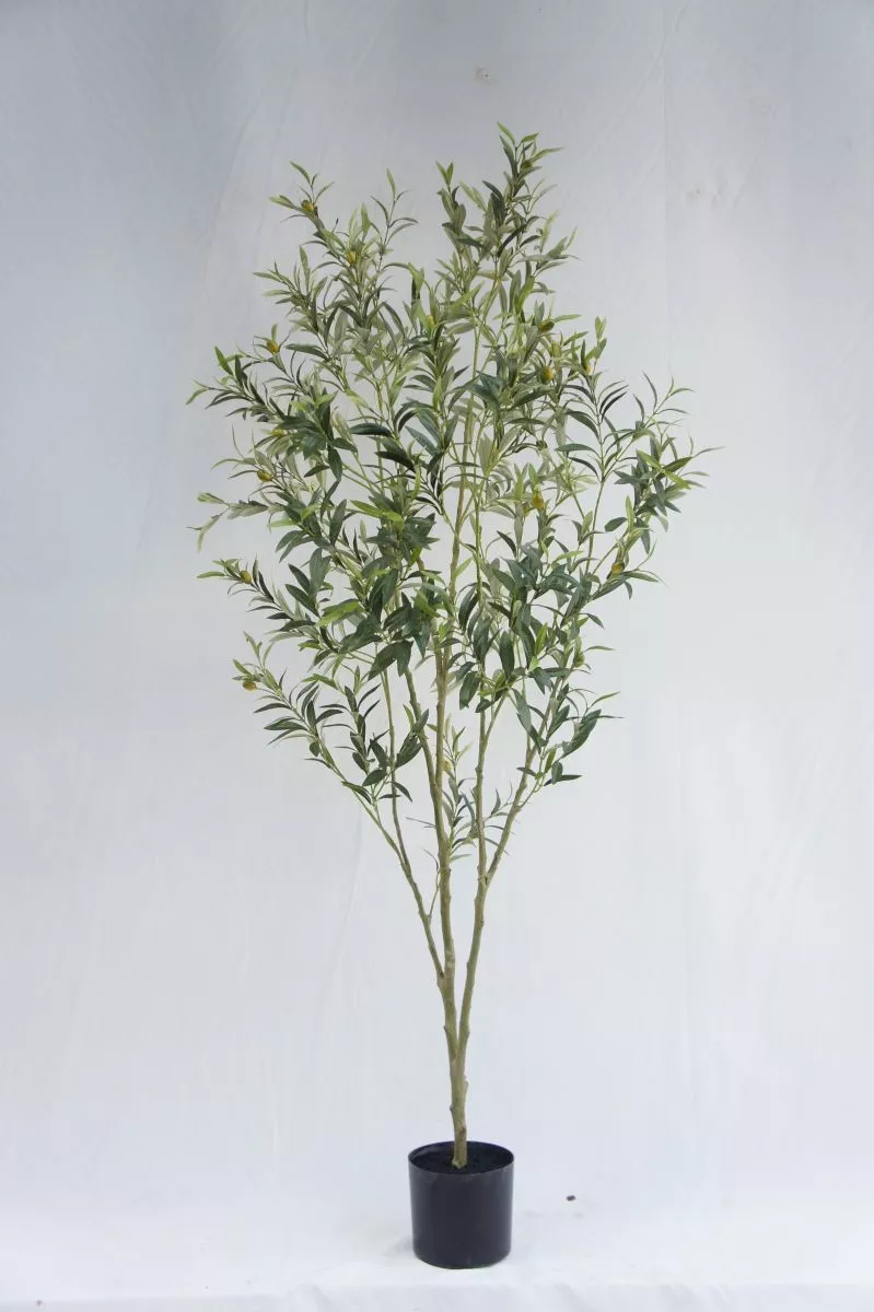 Artificial Olive Tree In Plastic Pot, 180 CM